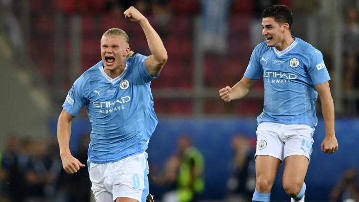 Preview: Newcastle United vs Fulham - prediction, team news, lineups